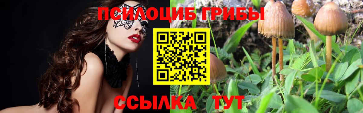 Псилоцибиновые грибы прущие грибы  где купить   Дубна  Вход с VPN 