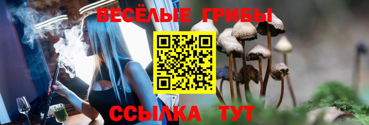 Псилоцибиновые грибы мицелий Дубна